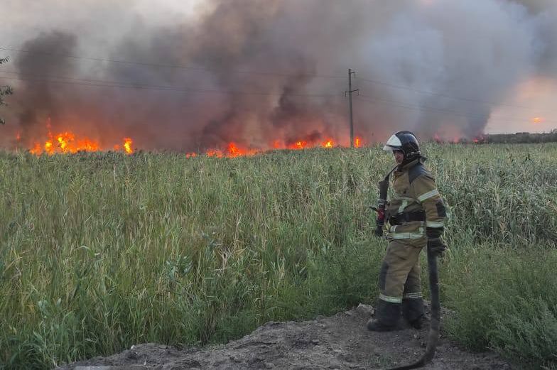 В Ростовской области усилена работа экстренных служб в связи с высокой пожароопасностью - фото 1