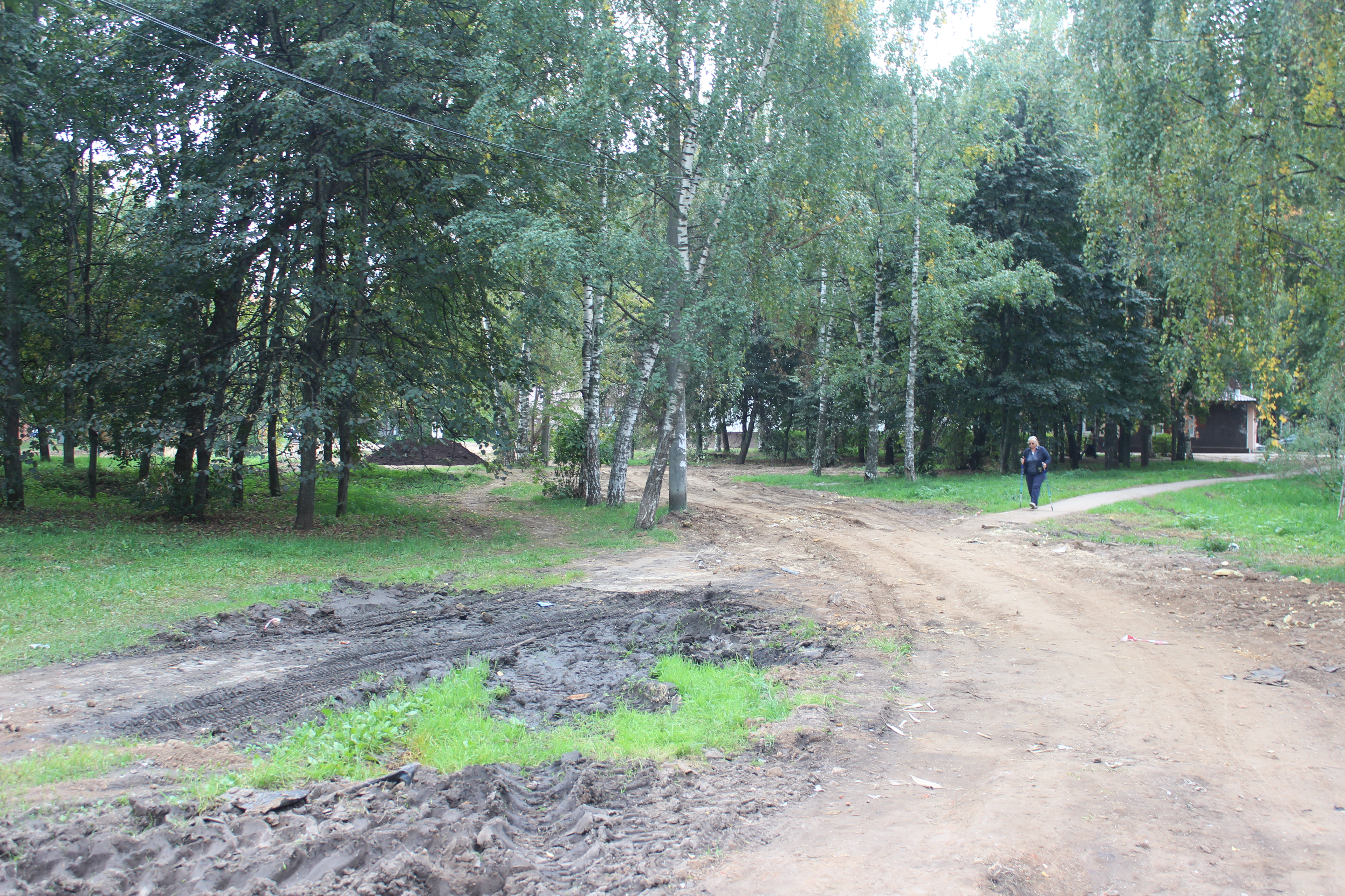 Более 30 деревьев повредили при благоустройстве нижегородского парка Пушкина - фото 1