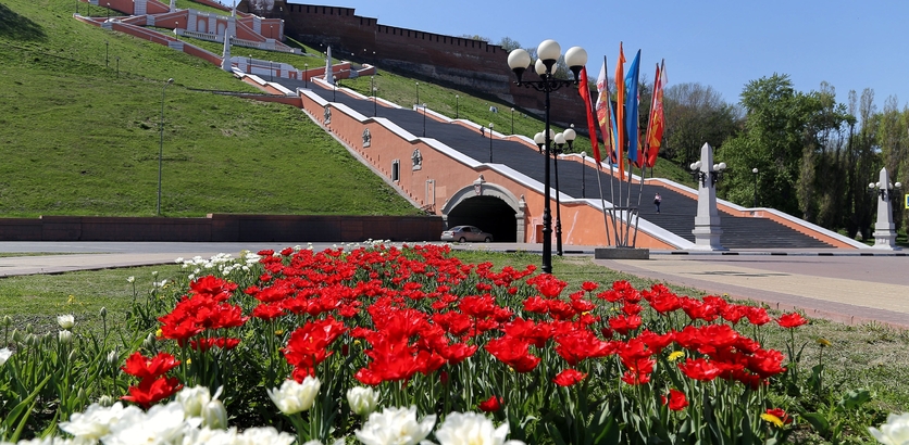 В Нижнем Новгороде разобьют 35,8 тысяч кв. метров цветников к майским праздникам - фото 1
