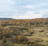 Ход строительства дома № 10,11 в ЖК GloraX Новинки -