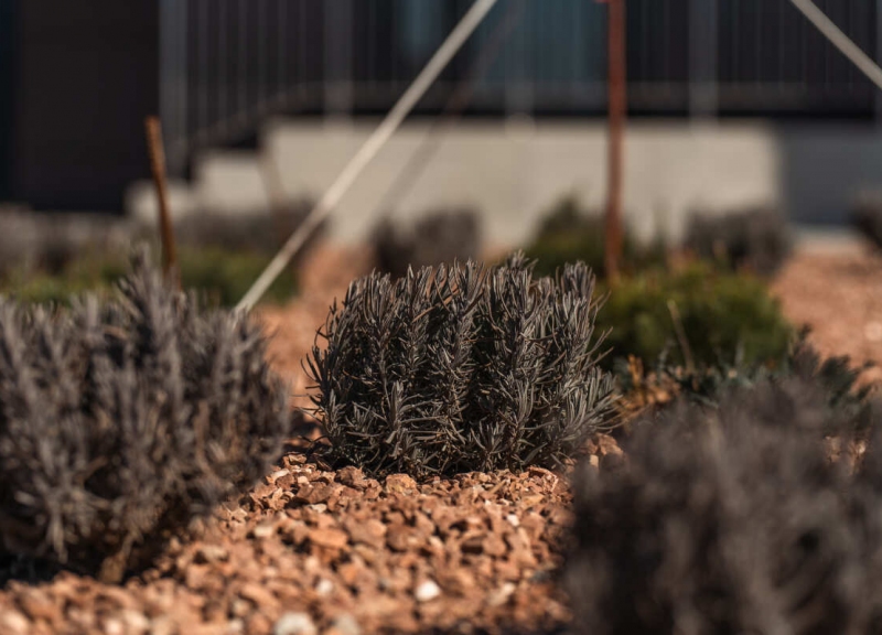 Дом Литер 1.1 в ЖК Флора - фото 25