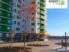 ЖК Зеленый берег Life - ход строительства, фото 7, Ноябрь 2018