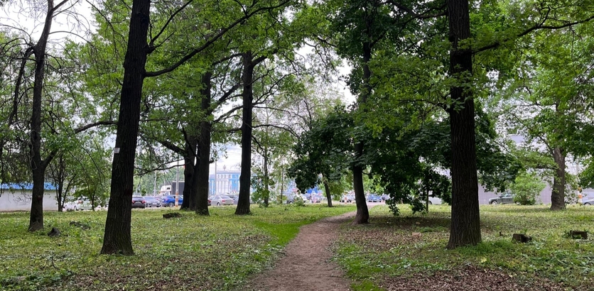 Почти сто деревьев и кустарников высадят в Дубраве в Приокском районе до сентября - фото 1