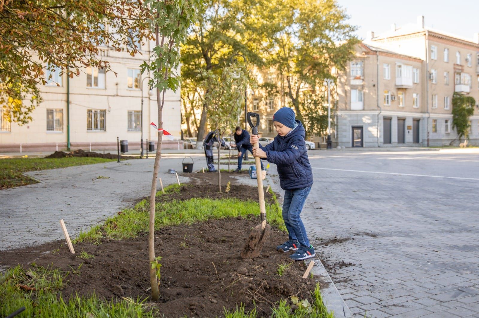 Около 300 тыс. деревьев и кустарников высадили в Ростовской области на выходных - фото 1