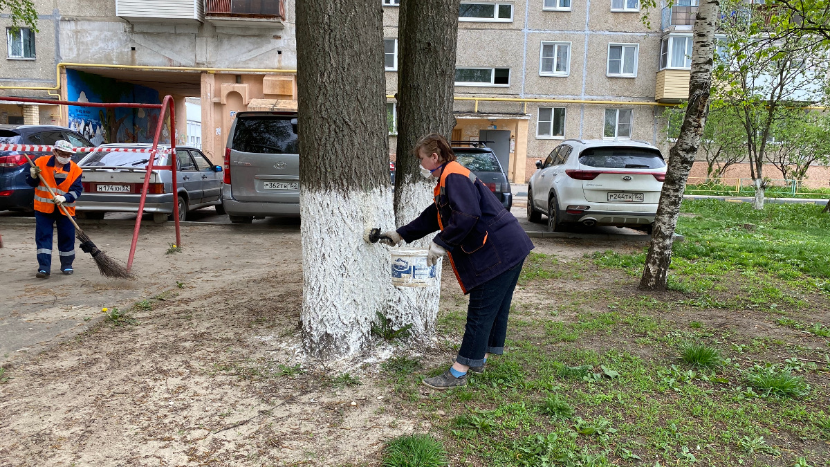 Госжилинспекция ведет мониторинг месячника по благоустройству