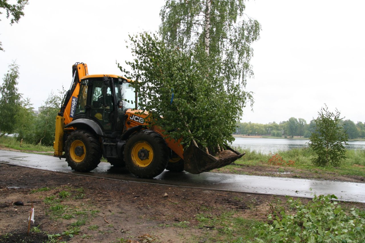 Более 100 деревьев высажены в Светлоярском парке за два дня