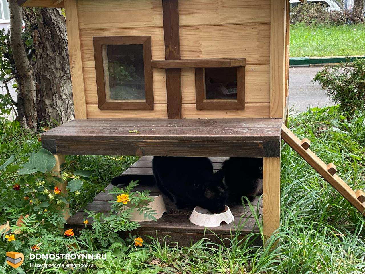 Столовая, гостиная и лаунж-зона: как живут нижегородские коты в собственном доме - фото 3